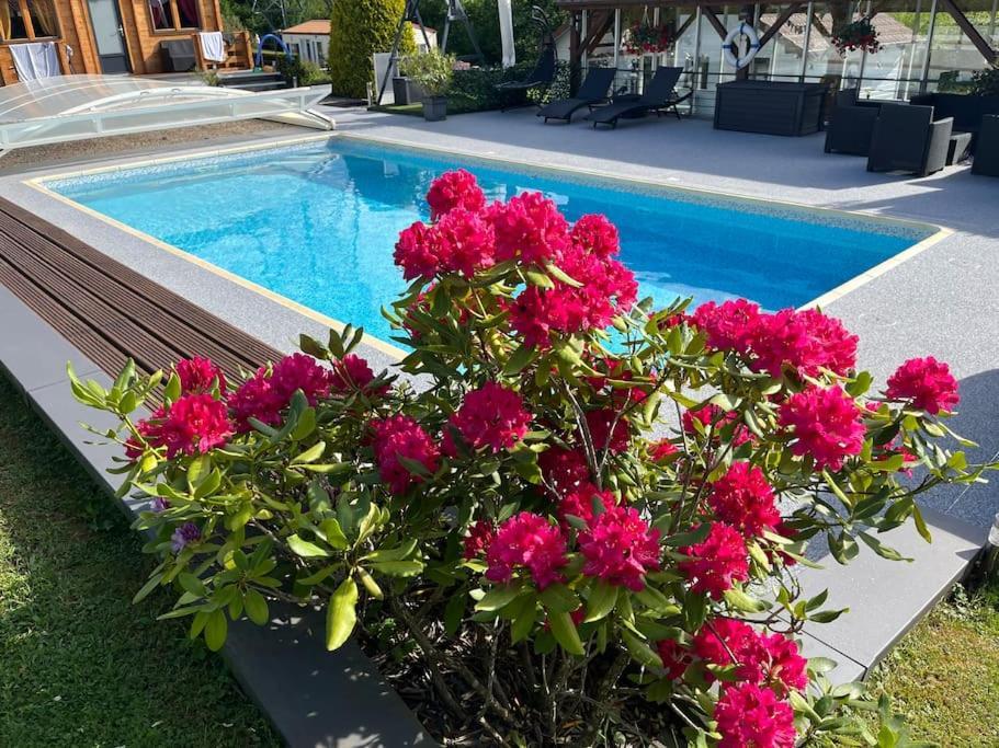 Chalet 2 Personnes Avec Jacuzzi Et Piscine Saisonniere Partagee Corcieux المظهر الخارجي الصورة